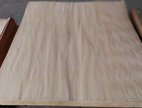嘉興櫸木面皮0.5大板